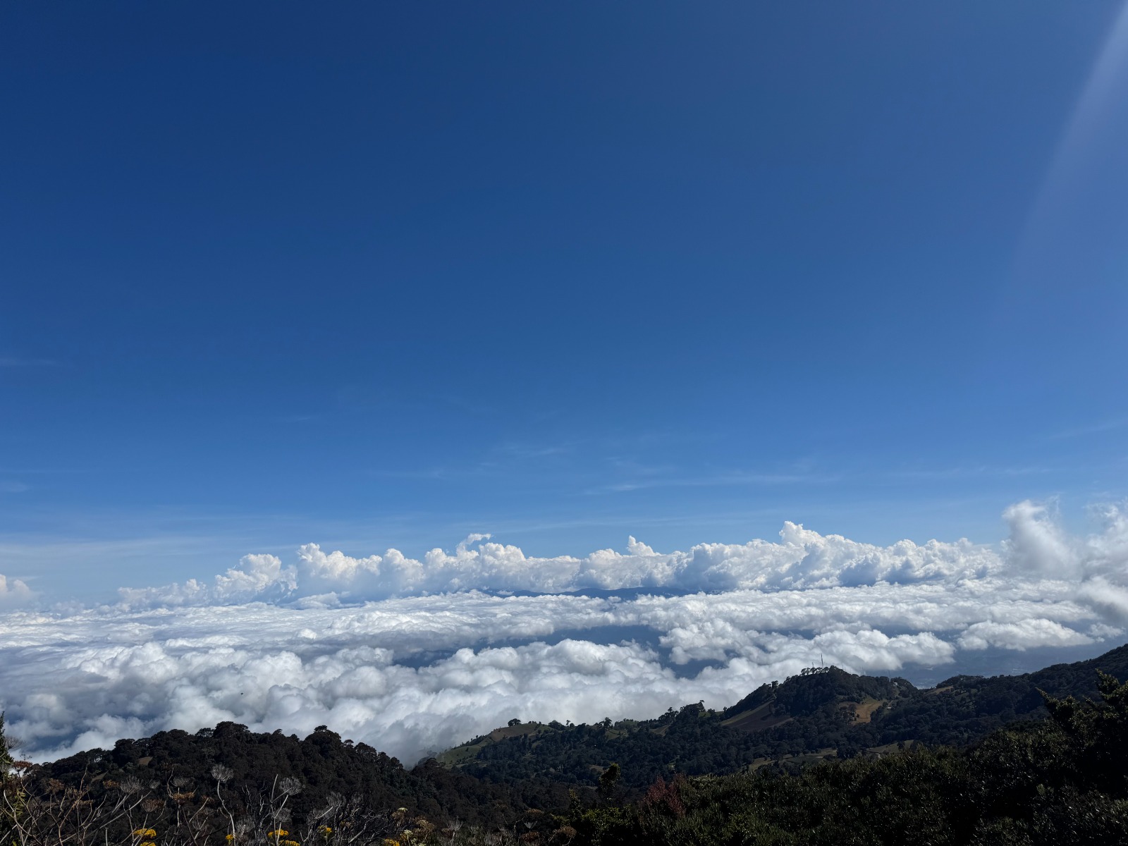 vista panorámica